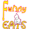 MES Drôles Chats