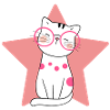 chat, chat mignon, chat domestique