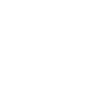 Independence L337 Leetspeak slogan
