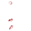 Slam Dunk basketball player