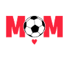 Futsal player, Futsal
