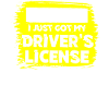 New driving licence