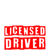 New driving licence