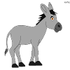 Donkey