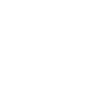 Mir