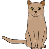 Cute brown cat sitting
