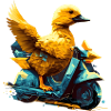 Canard conduit une moto