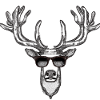 Cool Deer
