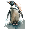 Aquarelle Pingouin Aquarelle