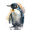 Aquarelle Pingouin Aquarelle