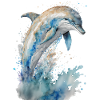 Aquarelle de dauphin Aquarelle