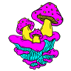 Pilz Fantasy World