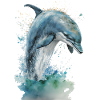 Aquarelle de dauphin Aquarelle