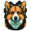 Shocked Corgi