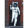 Bansky-style astronaut cat