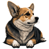 Relaxing Corgi