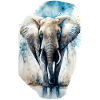 Aquarelle d’éléphant Aquarelle