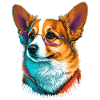 Corgi brillant