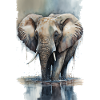 Elefant Aquarell