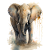 Mignon petit éléphant aquarelle