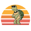 Tortoises