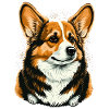 Behave Corgi