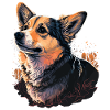 delightful Corgi