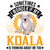 Koala lover Koala bear