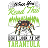 Tarantula Gift Spider Tarantula