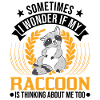 Raccoon Gift Raccoon