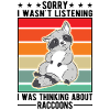 Raccoon Gift Raccoon