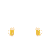 Chasse et bière