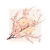 Sakura blooming