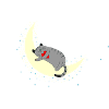 sleeping cat