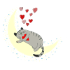 sleep cat
