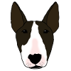 Sedentary Bull Terrier