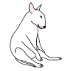 Sedentary Bull Terrier