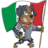 Italy Fan Dog