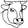 Sketch of cow's head
