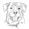 Rottweiler