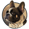 Français Bulldog