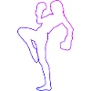 Boxe Kickbox Kickboxing Kickboxer Kickboxen