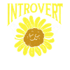 Introverted Shy Sarcasm Introverted