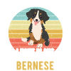 Bernese
