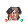 Bernese