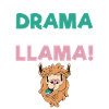 Llama Gift Llama Lover Gift