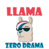 Llama Gift Llama Lover Gift