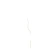 Beer Wine Whiskey Schnapps Alcohol