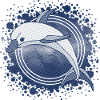 Delfin