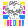 Le Dood Doodle Labradoodle Goldendoodle